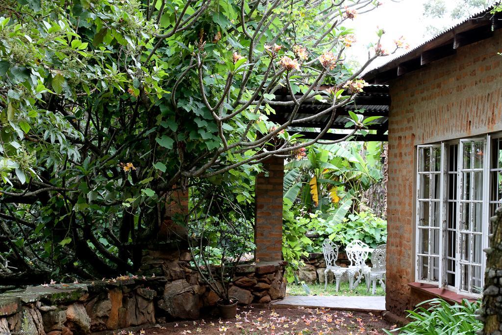 Down Gran'S Self-Catering Cottage Lobamba المظهر الخارجي الصورة